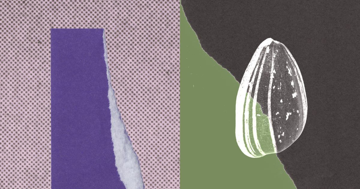 A paper collage of a torn purple strip on a dotted pink background beside a striped sunflower seed on dark grey and green paper