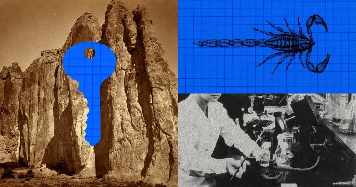 A collage with a blue key over a canyon photo, a line drawing of a scorpion on a blue grid, and a scientist at a lab bench