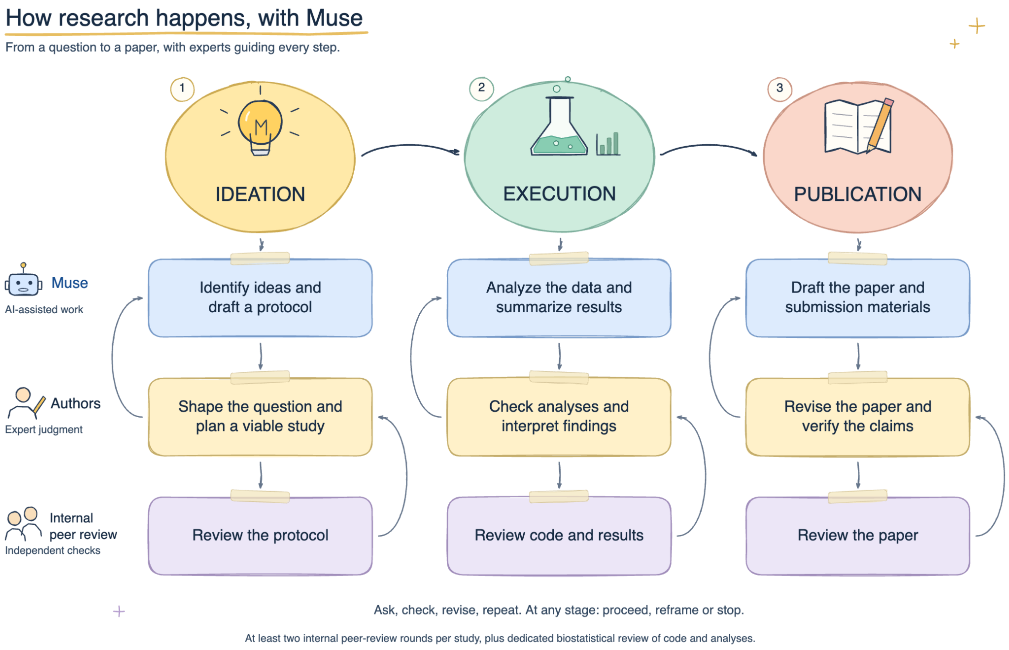 Each study moves through ideation, execution and publication, with Muse drafting, the authors shaping and checking the work, and internal peer review at every stage