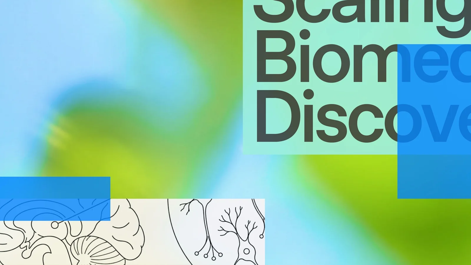 A green and blue collage with line drawings of a mouse brain and branching neurons at the bottom